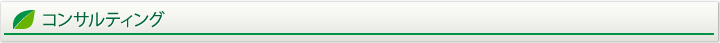 コンサルティング