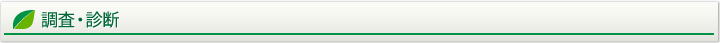 調査・診断